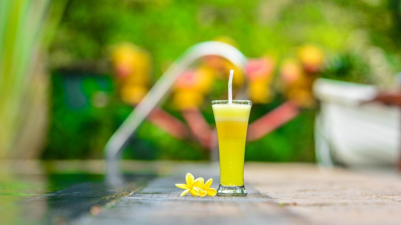 Araliya Gardens Hotel Hikkaduwa Zewnętrze zdjęcie